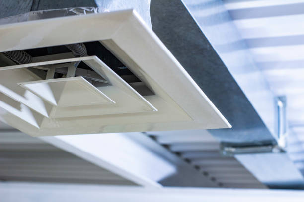 Air Duct Mold Removal in Belmar, NJ